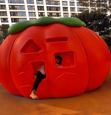 Outdoor Children's Play Facilities Plastic Rotational Mould Toys Customized