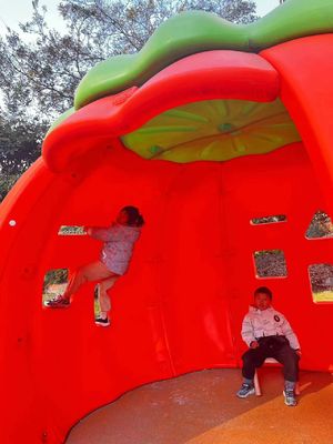 Outdoor Children's Play Facilities Plastic Rotational Mould Toys Customized