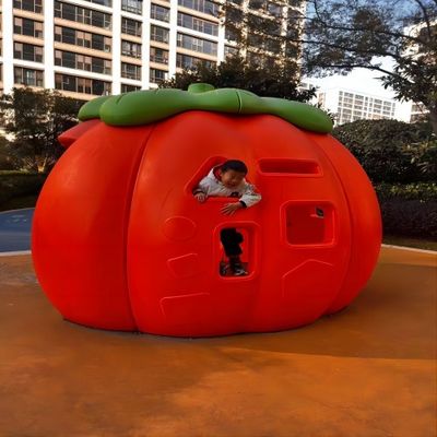 Outdoor Children's Play Facilities Plastic Rotational Mould Toys Customized