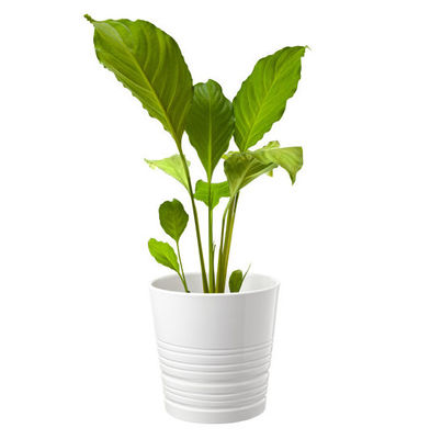 Custom Color Rotational Garden Planter Mold PE Planters Rotomold Tooling