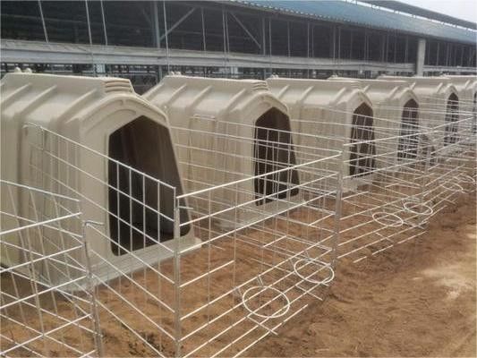 Rotational Molding Products for Customized Shapes and color PE Materia  Rotomolding Calf hutch