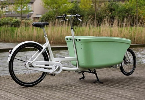 Rotational Molda Cargo Bike Rotated Molding Freight Bicycle Product Section Housing